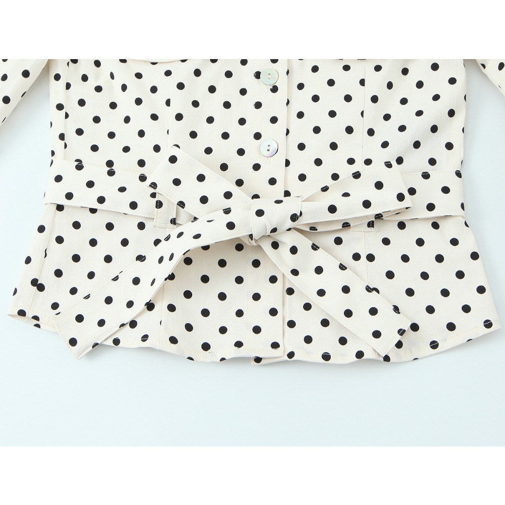 Elegant Chic Fitted Polka Dot  - đánh giá và giá Matcha