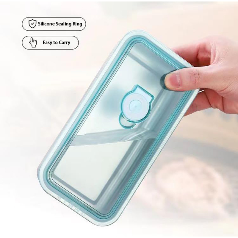 Portable Stainless Steel Fresh - đánh giá và giá Bento Box